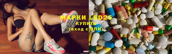 сатива Аркадак
