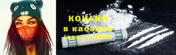 сатива Аркадак