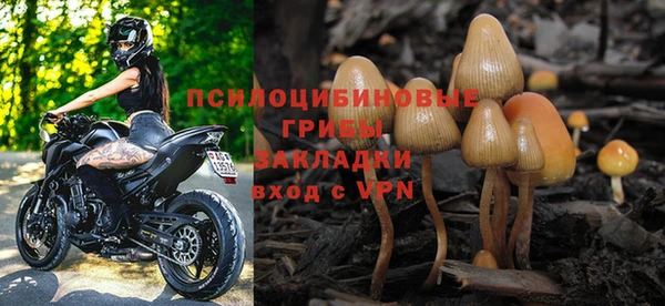 прущие грибы Алзамай