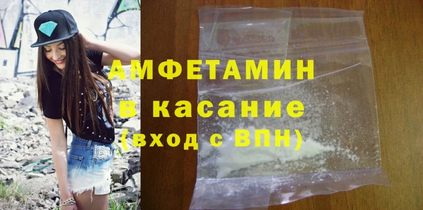 шишки Алексин