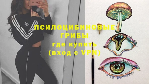 сатива Аркадак