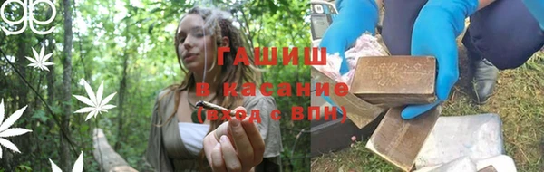 прущие грибы Алзамай