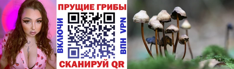 shop наркотические препараты  Мытищи  Галлюциногенные грибы Psilocybe  hydra вход 